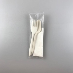 Plastic Cutlery Pack