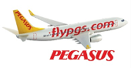 Pegaus Airlines